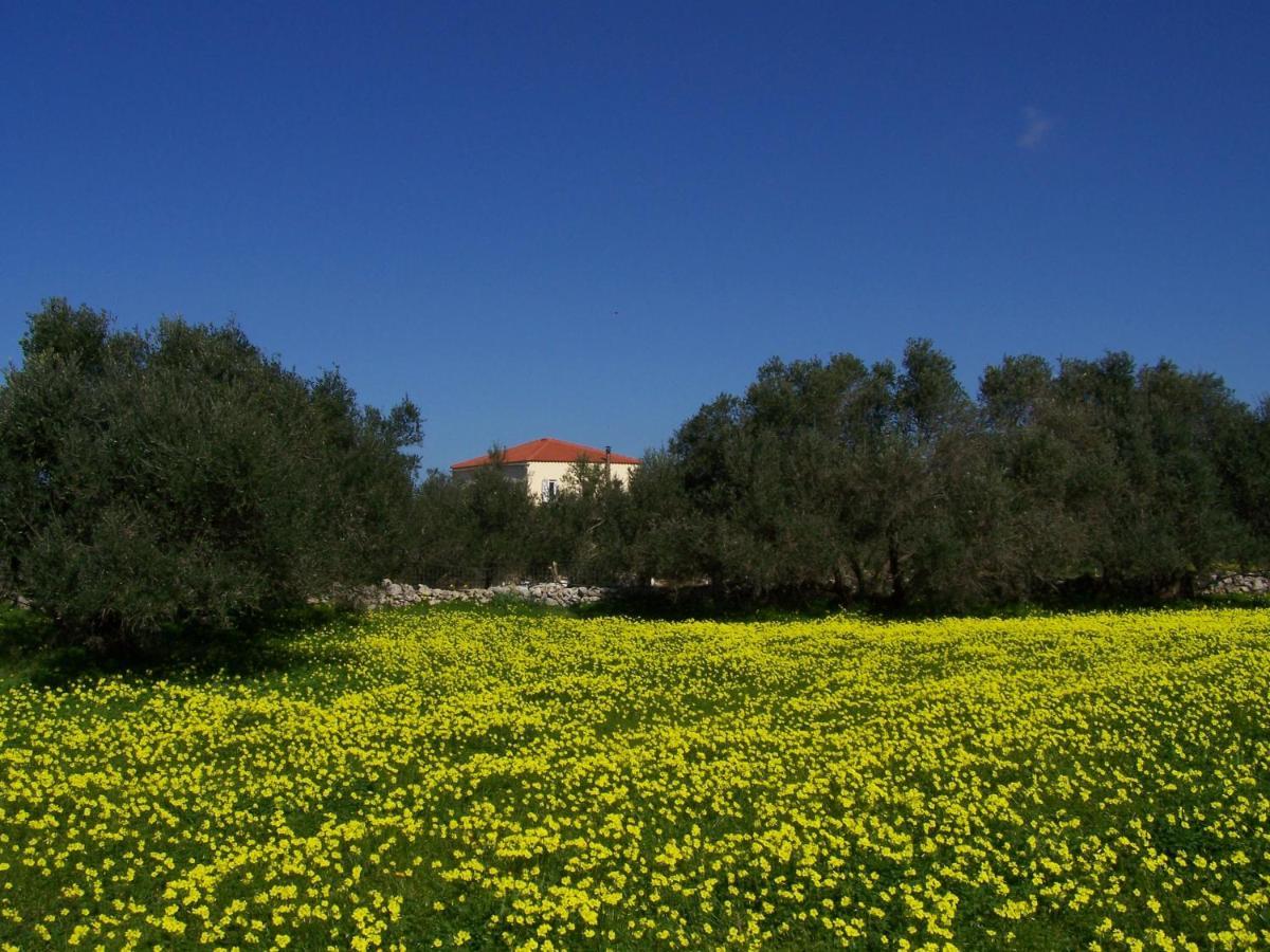 Manolo S Olive Farm, Apartment With Seaview Chania  Exterior photo